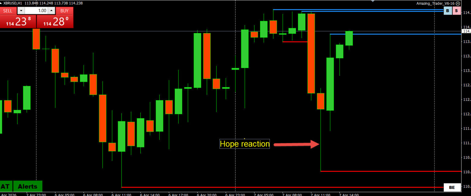 Trading and Risk Management